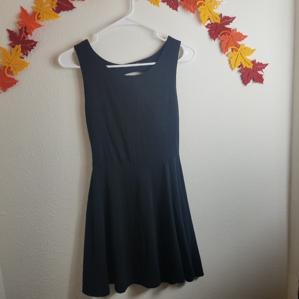 Brandy Melville Skater Dress